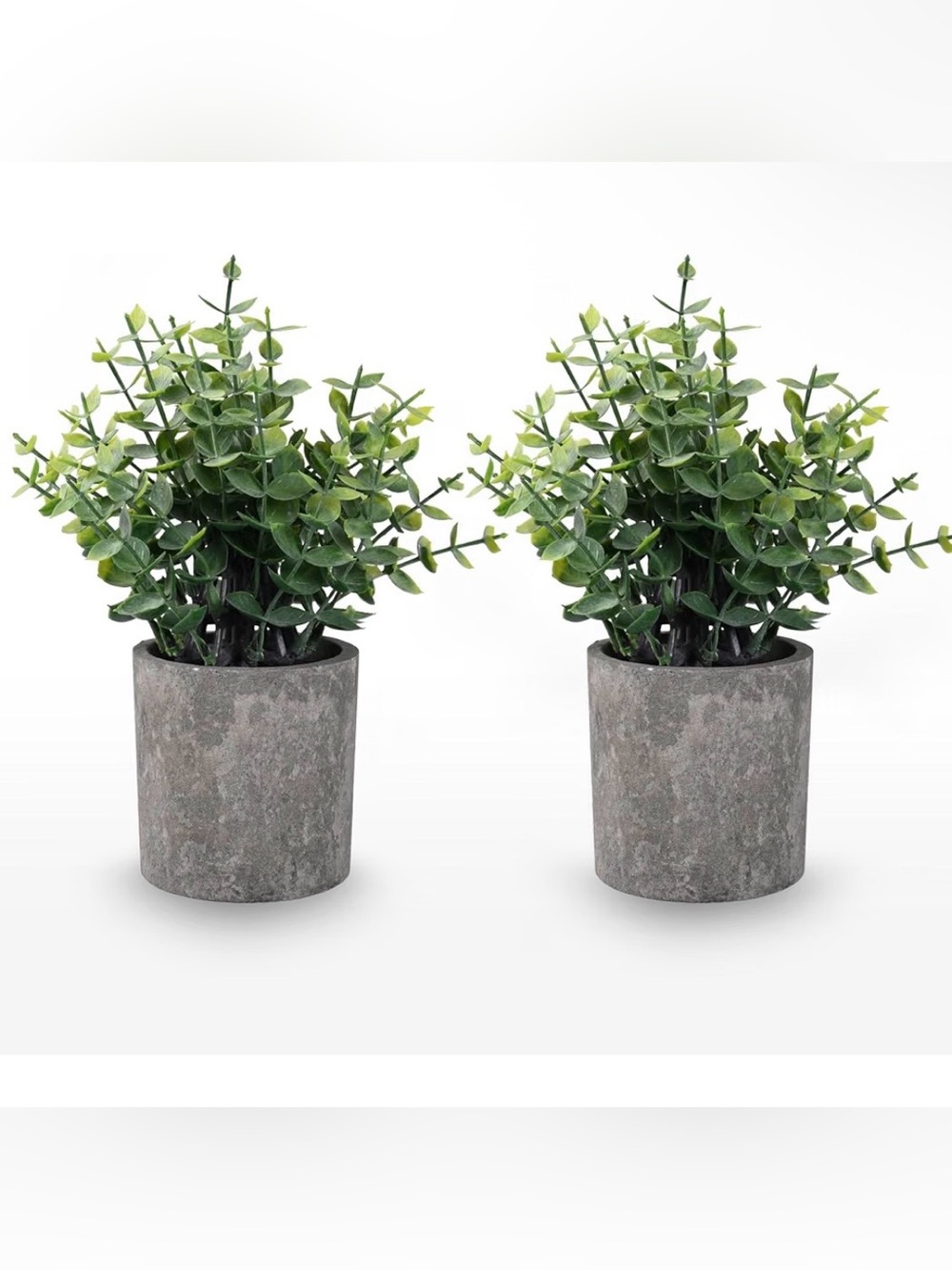 Set of 2 Eucalyptus Fake Plants Small Artificial Potted Plants